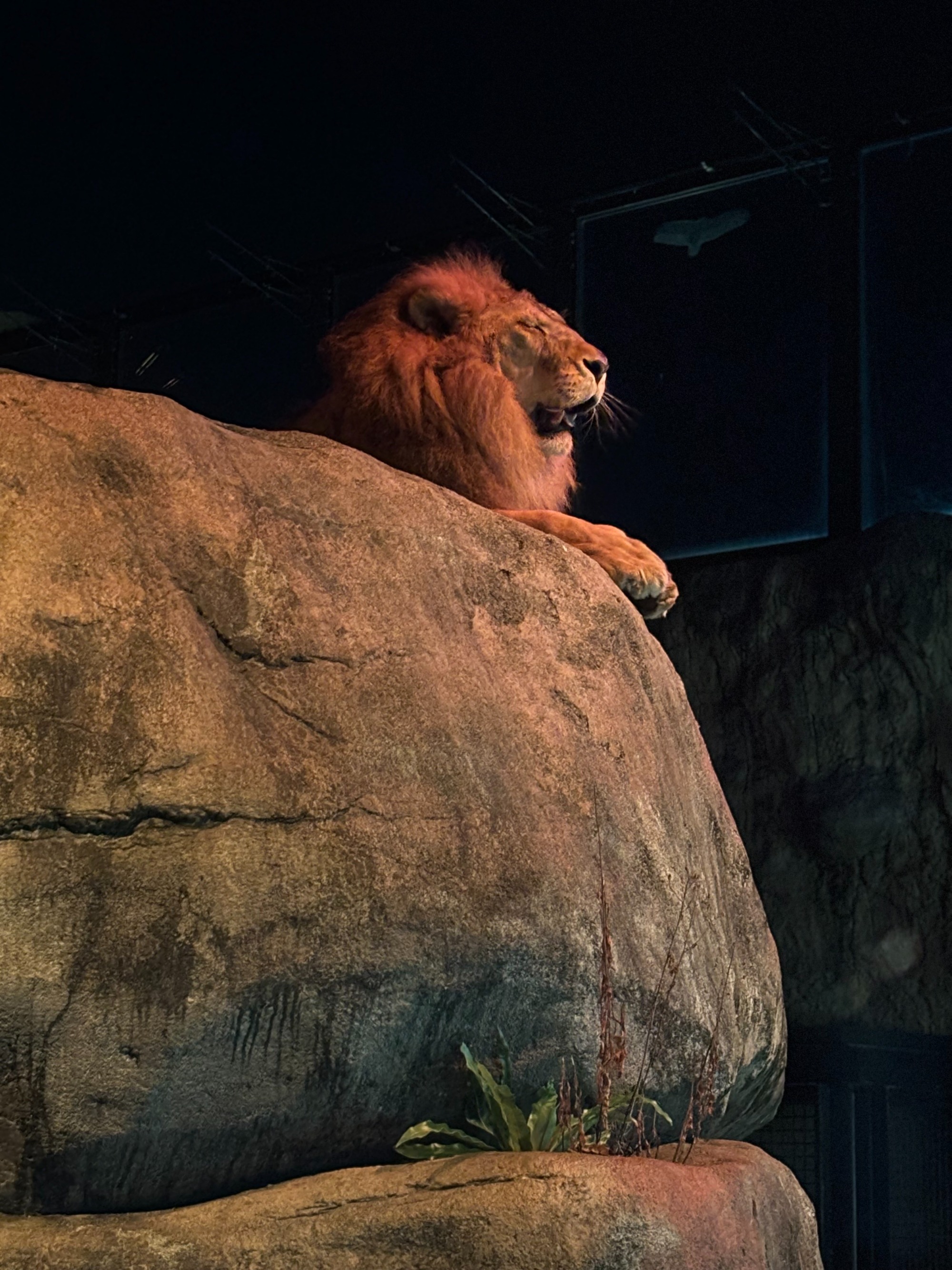 ブログ Happy Halloween