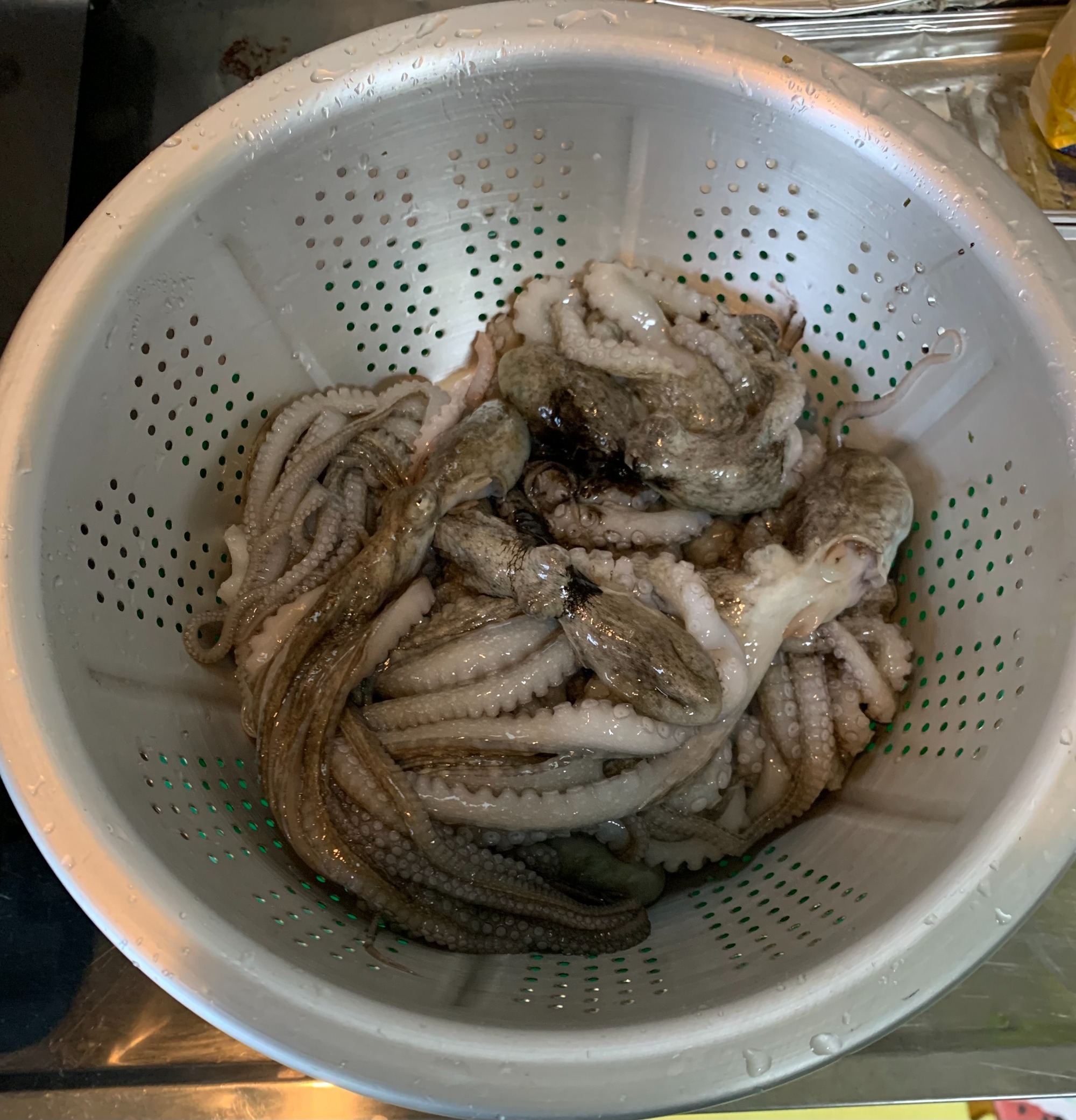 ブログ 夜中の潮干狩り