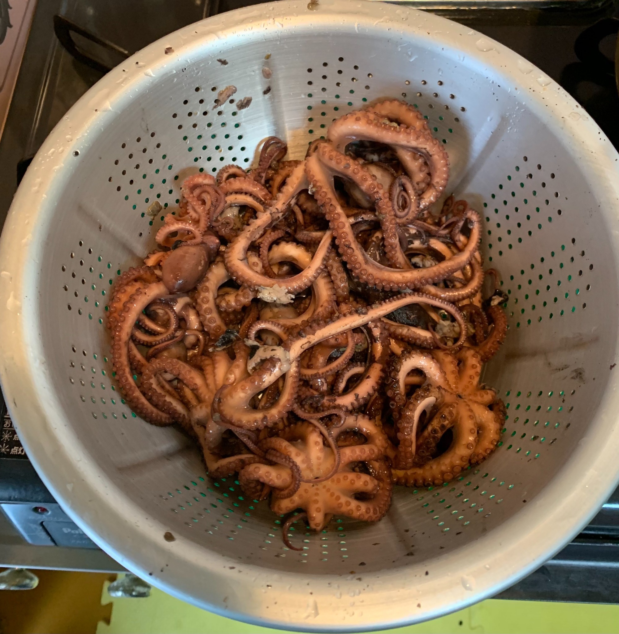 ブログ 夜中の潮干狩り