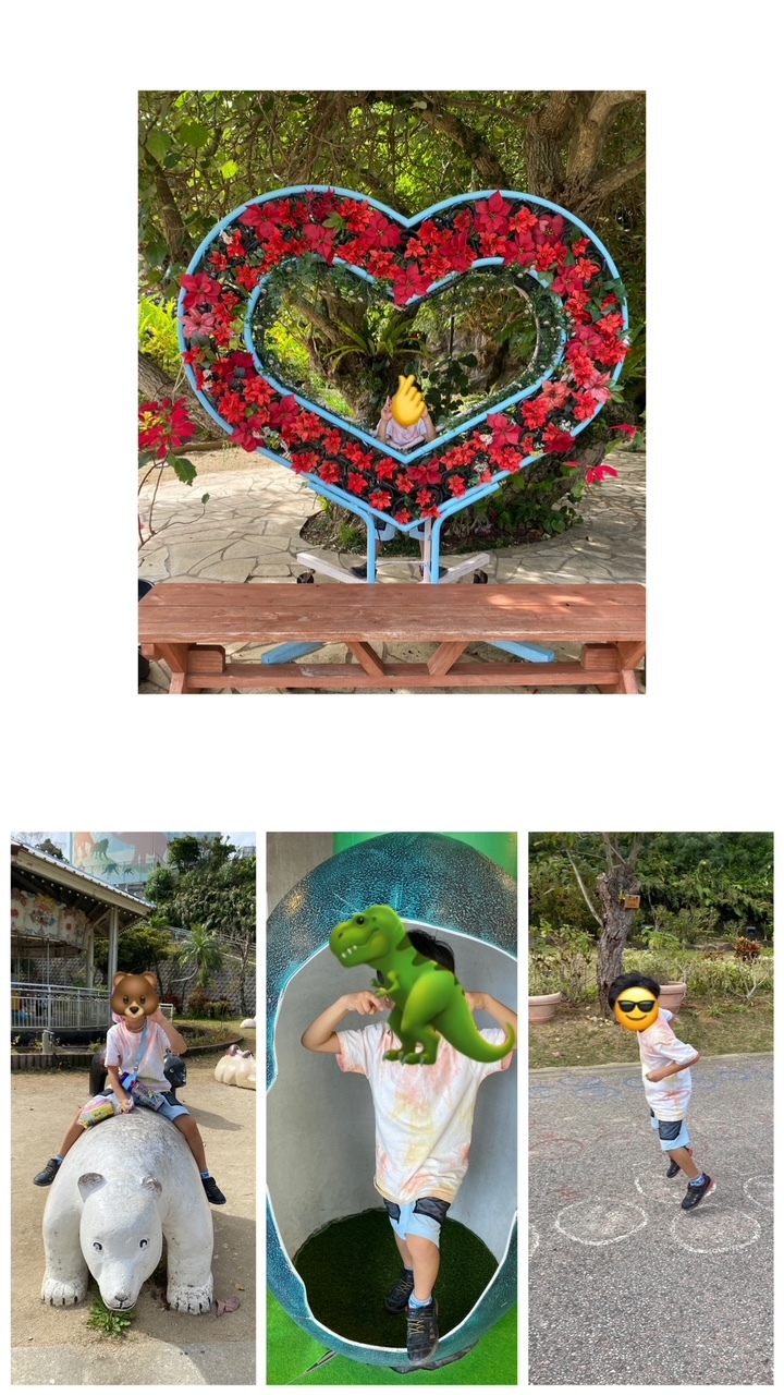 ブログ　ワンちゃんの写真