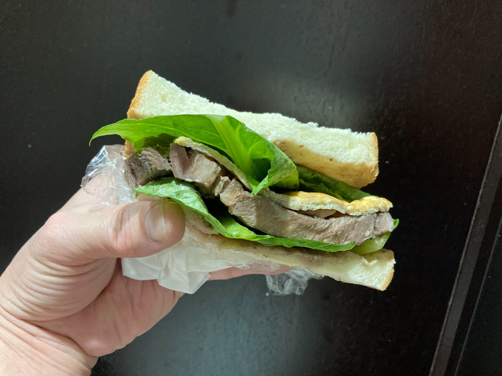 ブログ　ワンちゃんの写真