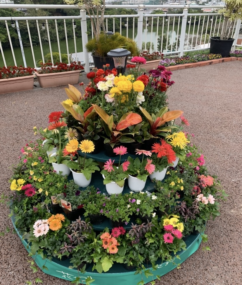 ブログ　花まつり