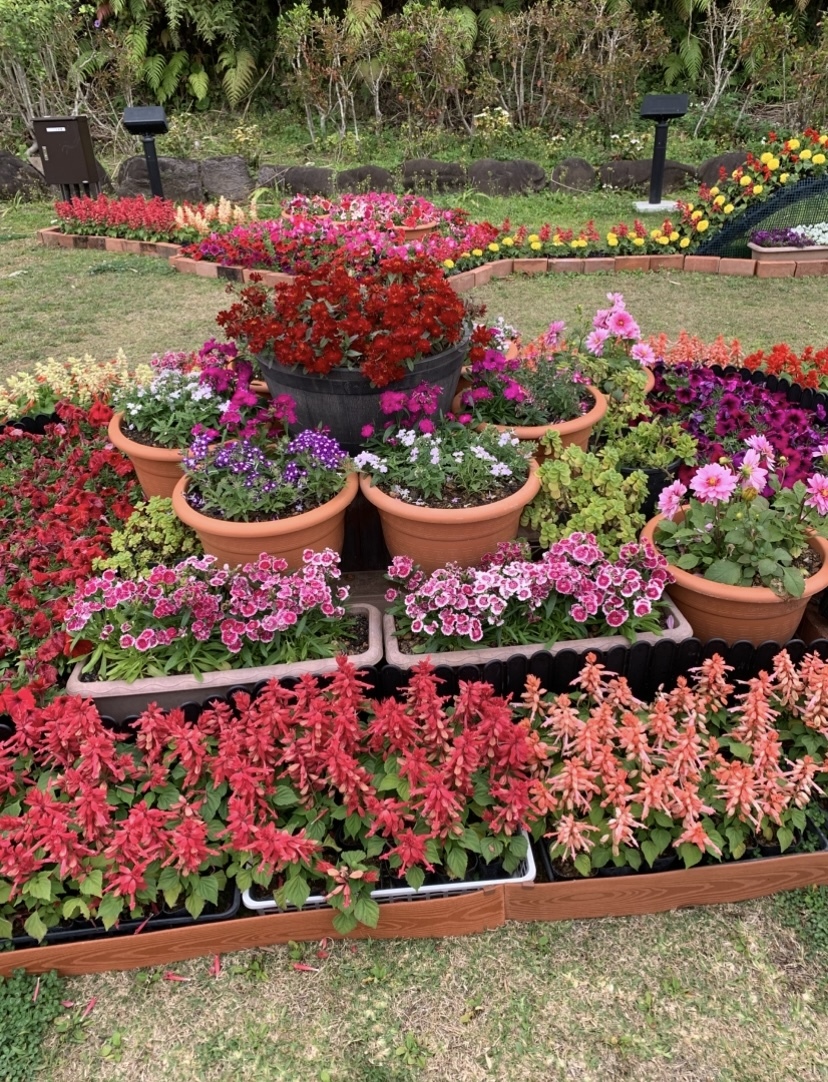 ブログ　花まつり