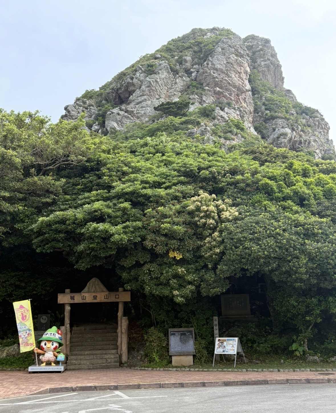 ブログ　花まつり