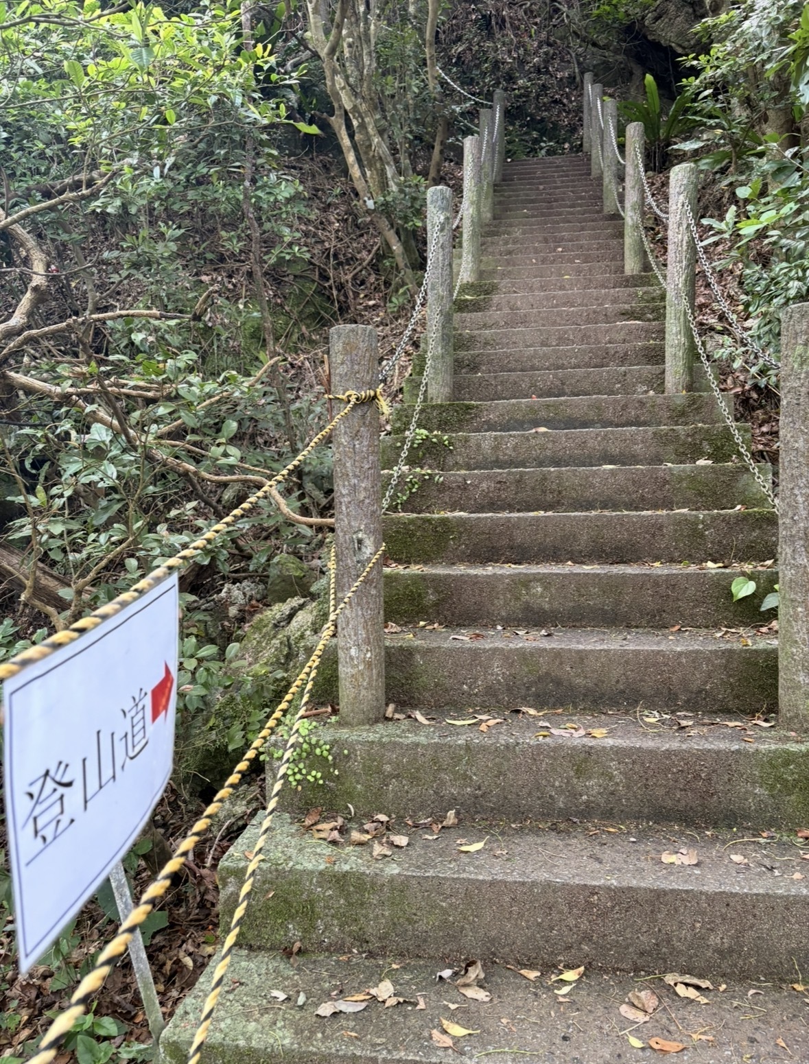ブログ　花まつり